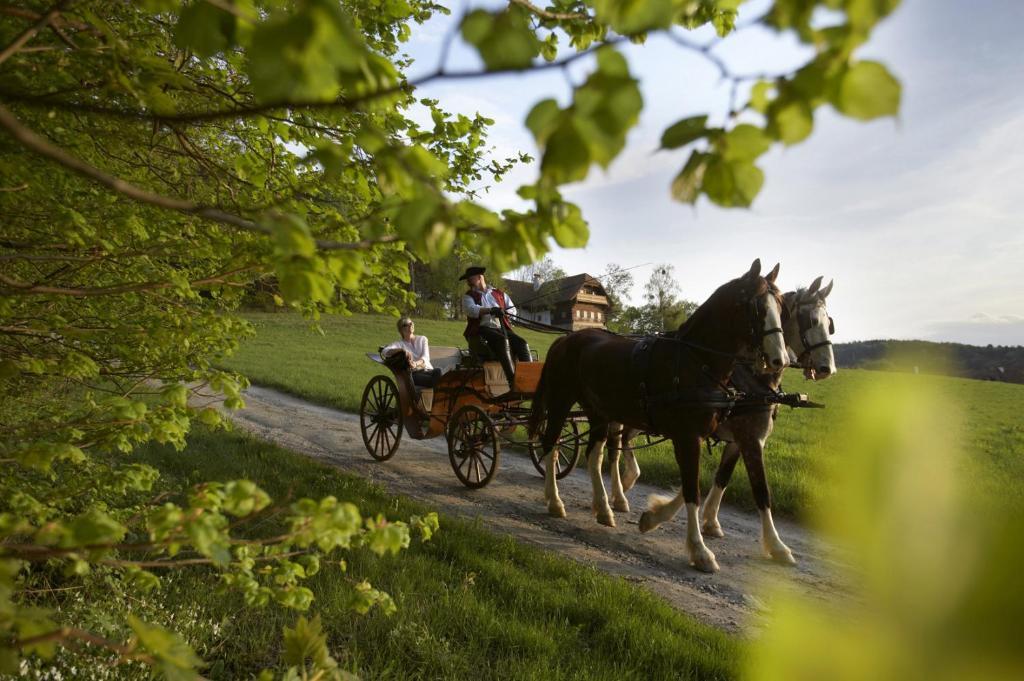 Ferienhaus Troadkasten - Familie Friedrich Hartberg Exteriér fotografie